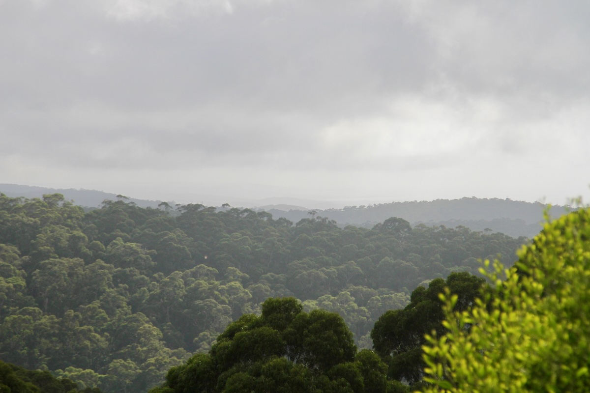 Lorne Cloud House